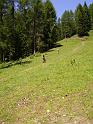 DOLOMITI2009 (370)